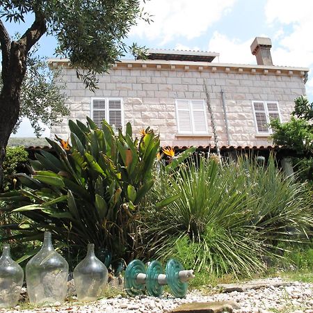 Guest House Maria Bilicic Dubrovnik Kültér fotó