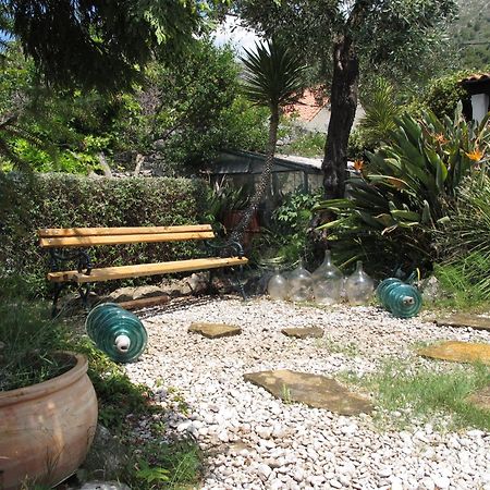 Guest House Maria Bilicic Dubrovnik Kültér fotó